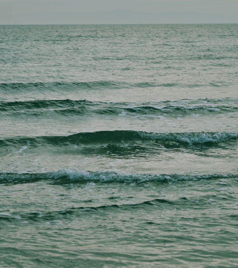 pexels-merictuna-36016388